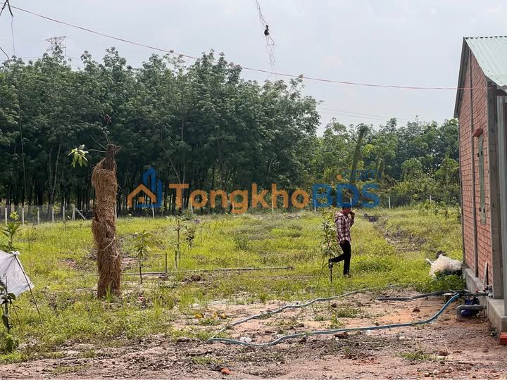 Đất vườn Bàu Đồn 2.417m² giá 1.18 tỷ - Tiềm năng tăng giá