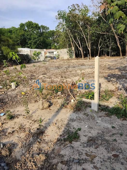 Đất nền 75m² Phường Long Hoa, Hòa Thành - Giá Tốt, Sổ Hồng Thổ Cư