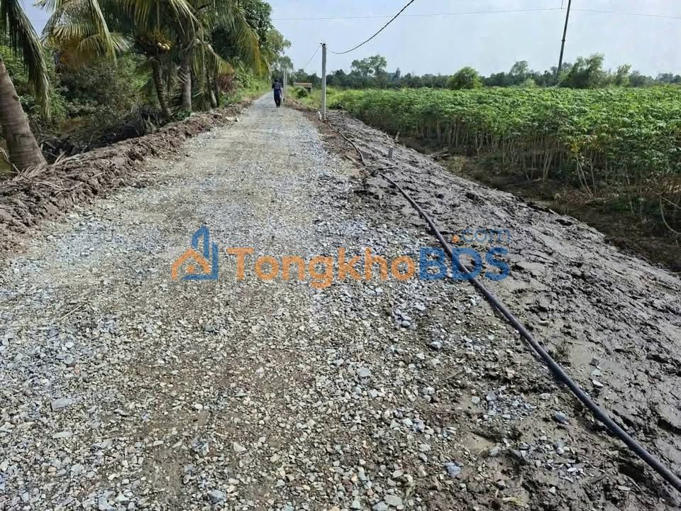 Đất Vườn Long An 1041m² Mặt Tiền Kênh - Sổ Hồng Riêng, Giá 900 Triệu