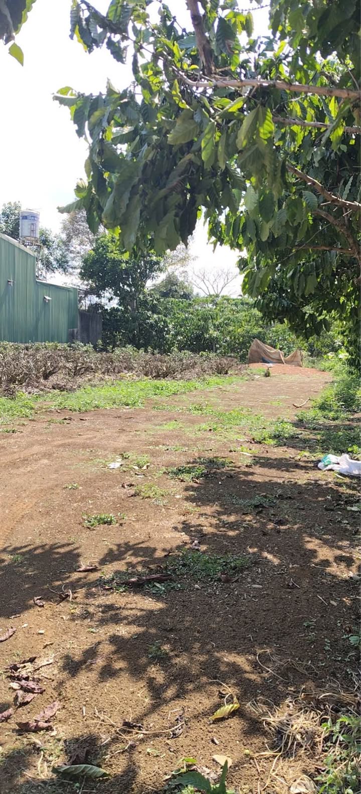 Đất Nền Bảo Lâm 198m² - Giá Ngộp 1 Tỷ, Sổ Hồng Sẵn