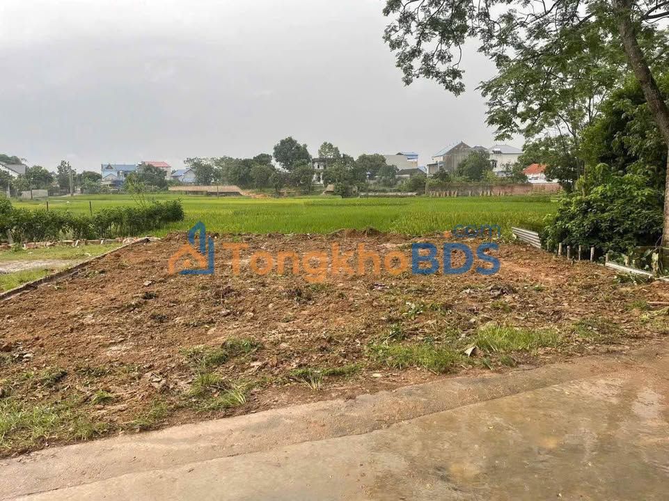 Bán Gấp Đất Phổ Yên 100m² - Sổ Hồng Riêng - Gần Samsung