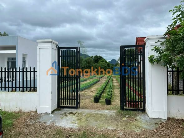 Đất nền Diên Khánh 528.8m² mặt tiền 10m - Giá 3.17 tỷ, Sổ hồng