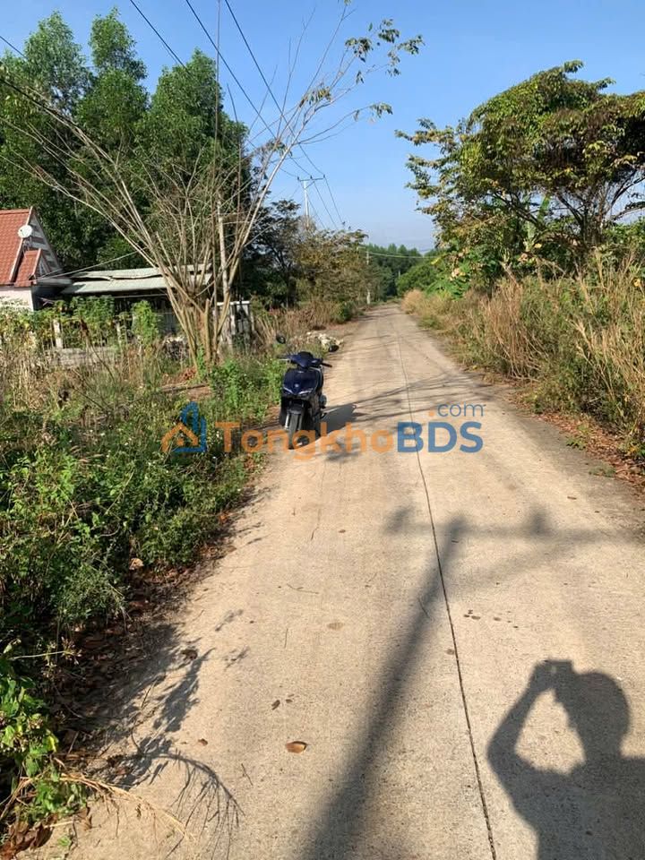 Đất Hắc Dịch SHR 80m² thổ cư - Giá tốt chính chủ