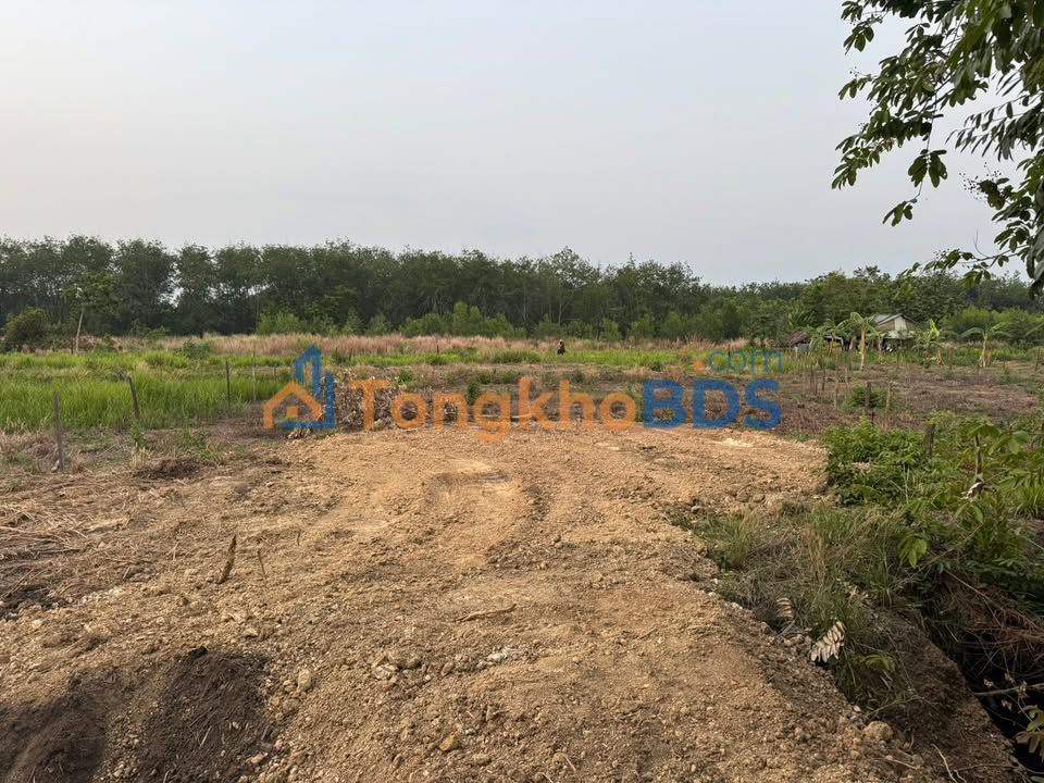 Đất Vườn Đồng Nai 3600m² - Sổ Hồng Sẵn Sàng - Giá Đầu Tư 169 Triệu