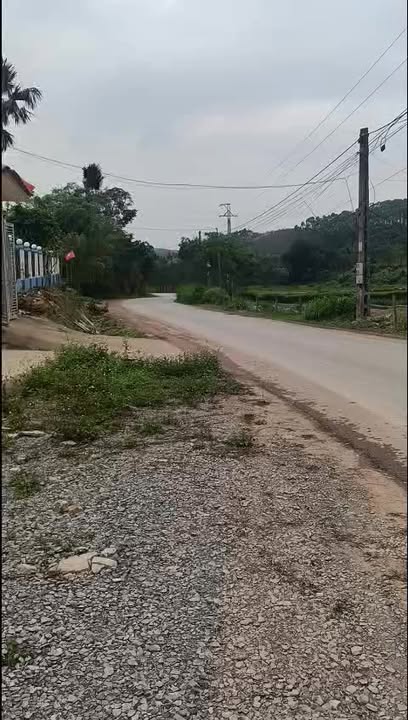 Đất Nền Tam Nông 101m² - Mặt Tiền Trục Chính Giá Hời