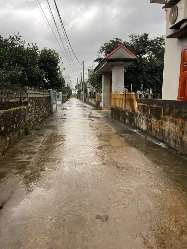 Đất Nền Phú Sơn, Nho Quan, Ninh Bình - 245m² - Đường Ô tô Tránh