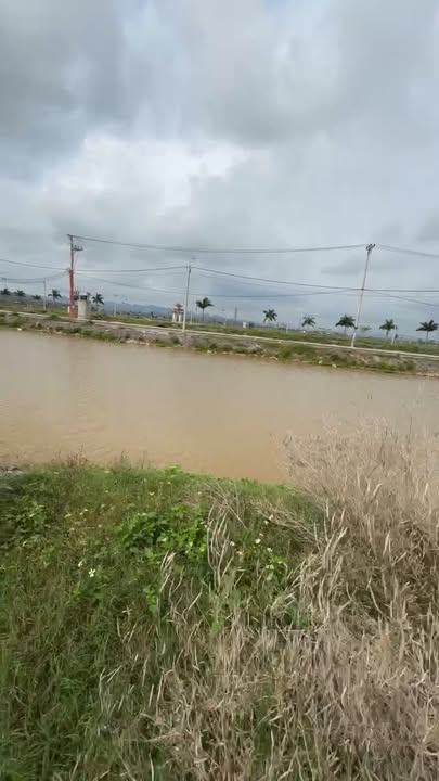 Bán Gấp Nhà Vườn BT 3-7 Nam Định 210m² Hướng Bắc - Giá Tốt