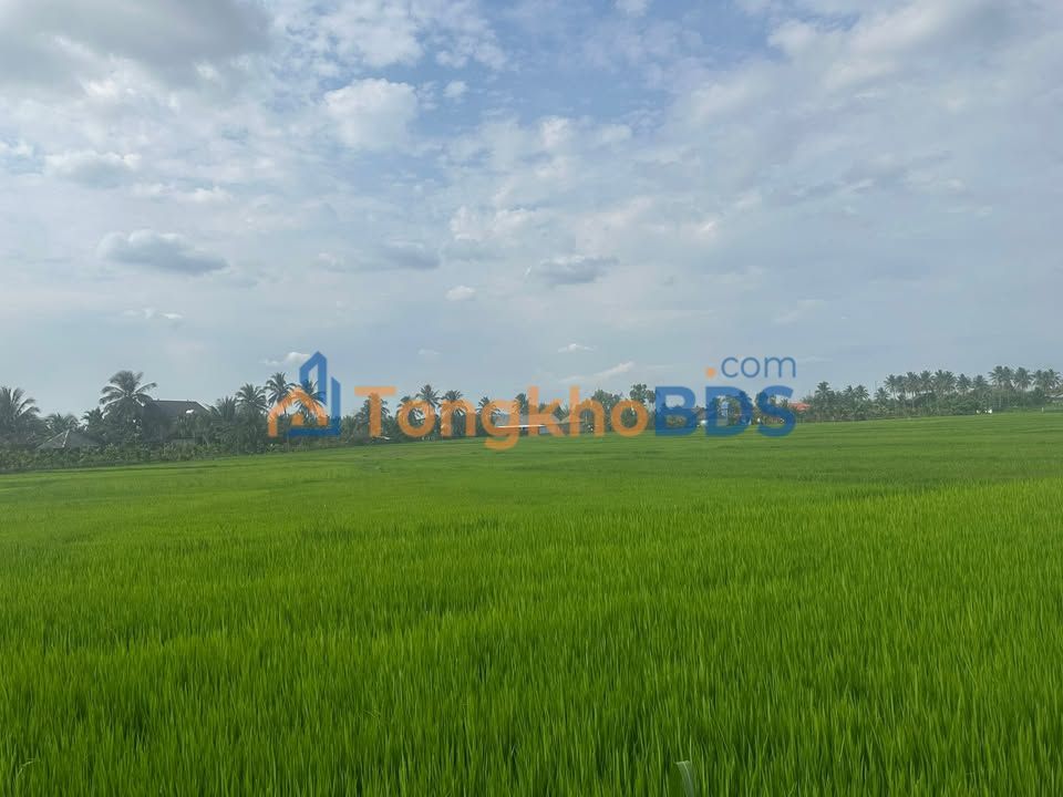 Đất Ruộng Ea Bar, Đắk Lắk - 360m² - Chỉ 100 Triệu/Sào