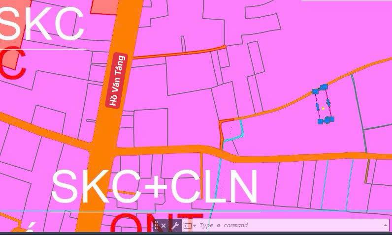 Đất Vườn Củ Chi 1039m² - Chỉ 3.5 Tỷ, Sẵn Sổ Đỏ, Ô Tô Tới Đất