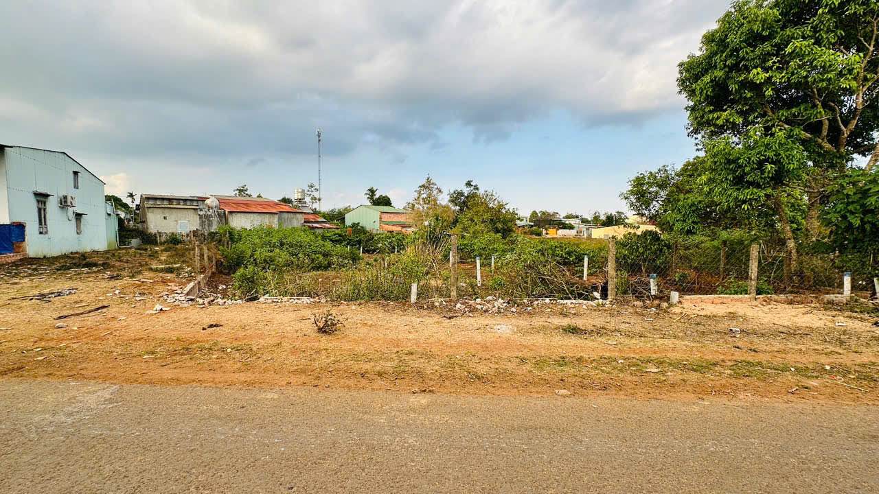 Đất Nền Biển Hồ, Pleiku 125m² - Kinh Doanh Sầm Uất, Giá Chỉ Từ 4xx Triệu