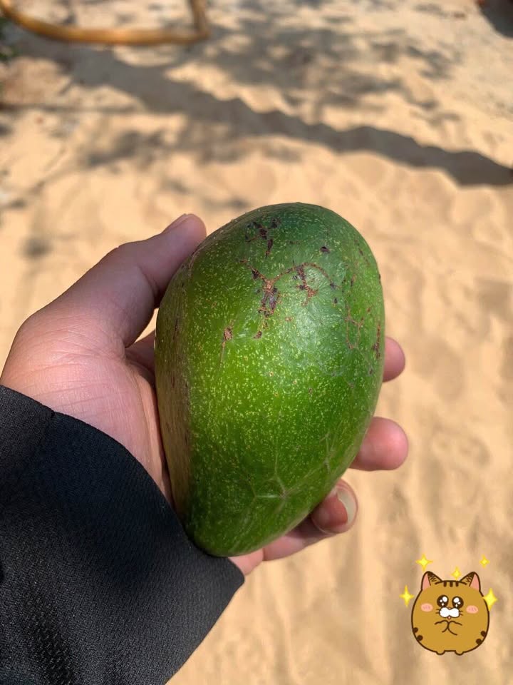 Bán Đất Vườn 500m² Ia Dêr, Gia Lai - Giá 1 Tỷ, Sổ Đỏ, Gần Pleiku