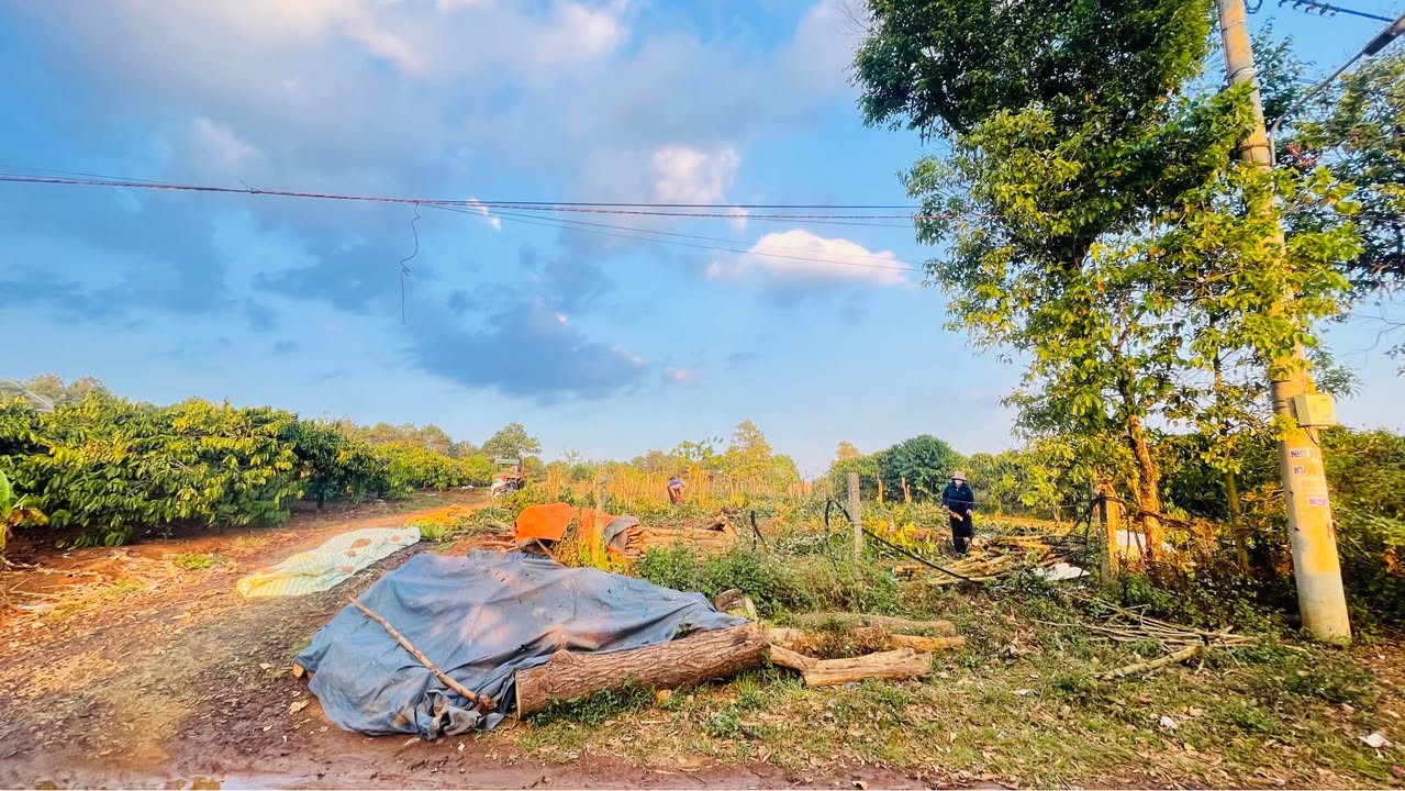 Đất 110m² Hẻm Ký Con, Pleiku - Sổ Đỏ Thổ Cư, Giá 1.28 Tỷ