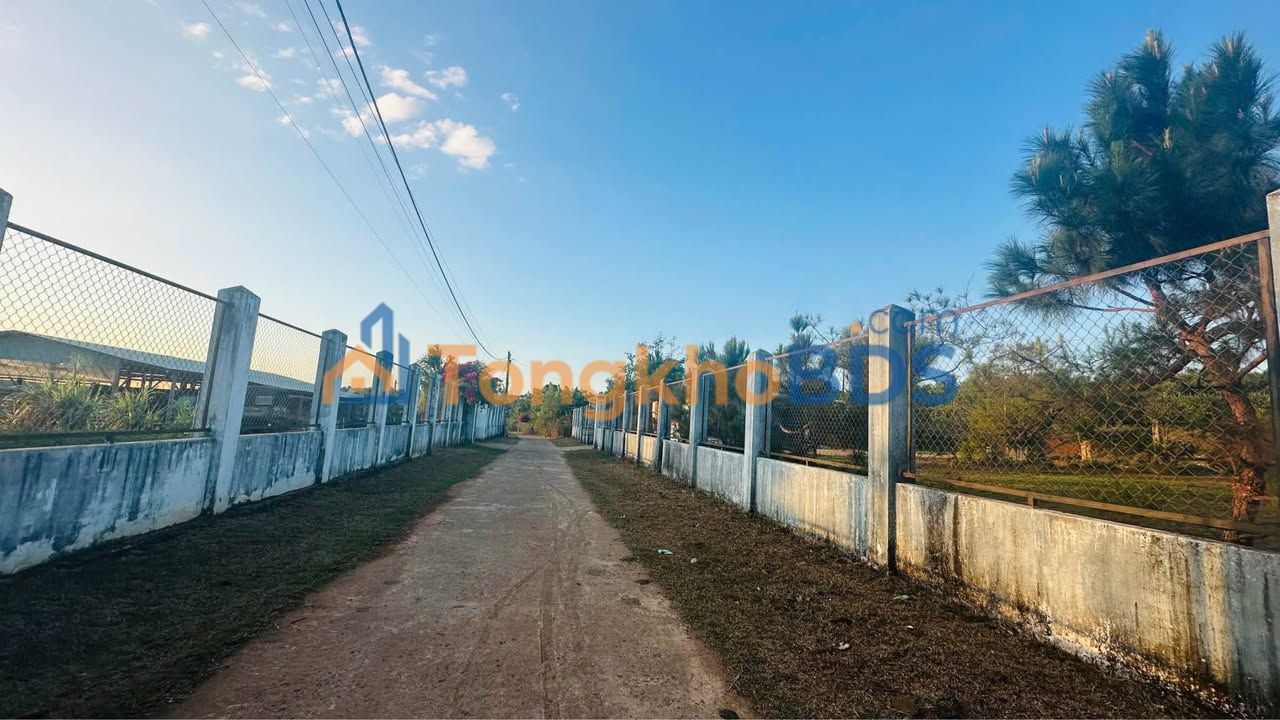 Đất Nền Pleiku 170m² Sổ Đỏ Sẵn - View Ruộng Xinh