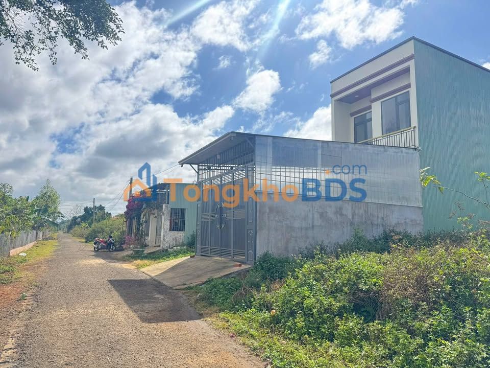 Bán Gấp Đất Đồi Thông Pleiku 124m² - Sổ Đỏ Thổ Cư, Giá Tốt