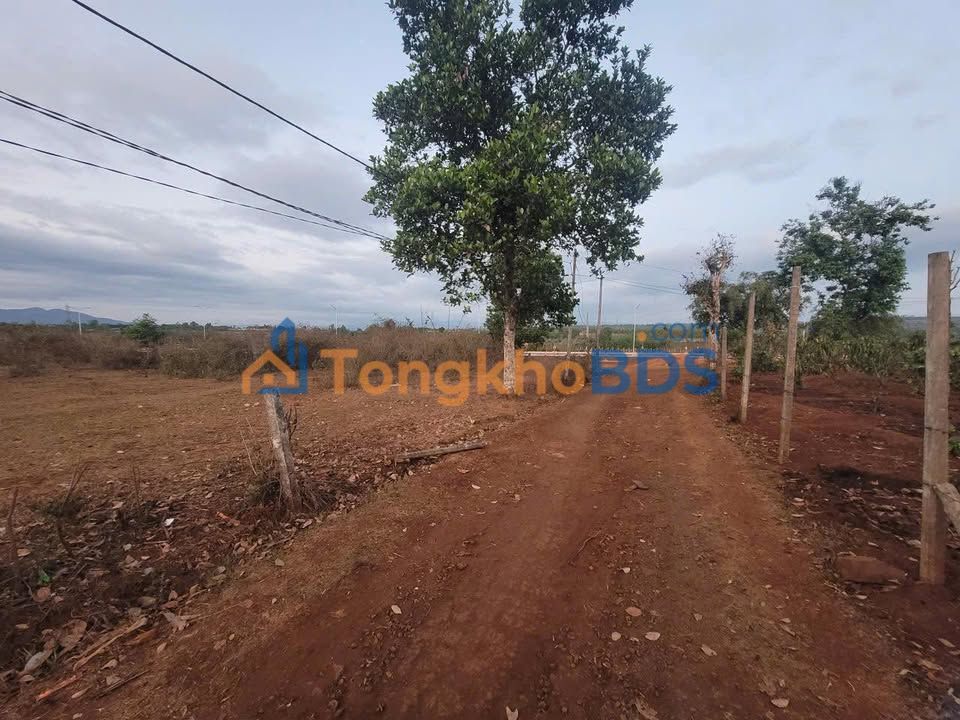 Đất Vàng Quy Nhơn - 1782m² Giáp Hành Lang Kinh Tế, 3 Mặt Tiền, Giá Sốc