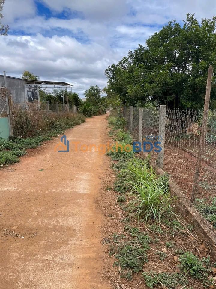 Đất Nền Hẻm Nguyễn Chí Thanh, Gia Lai - 115m² Giá 499 Triệu