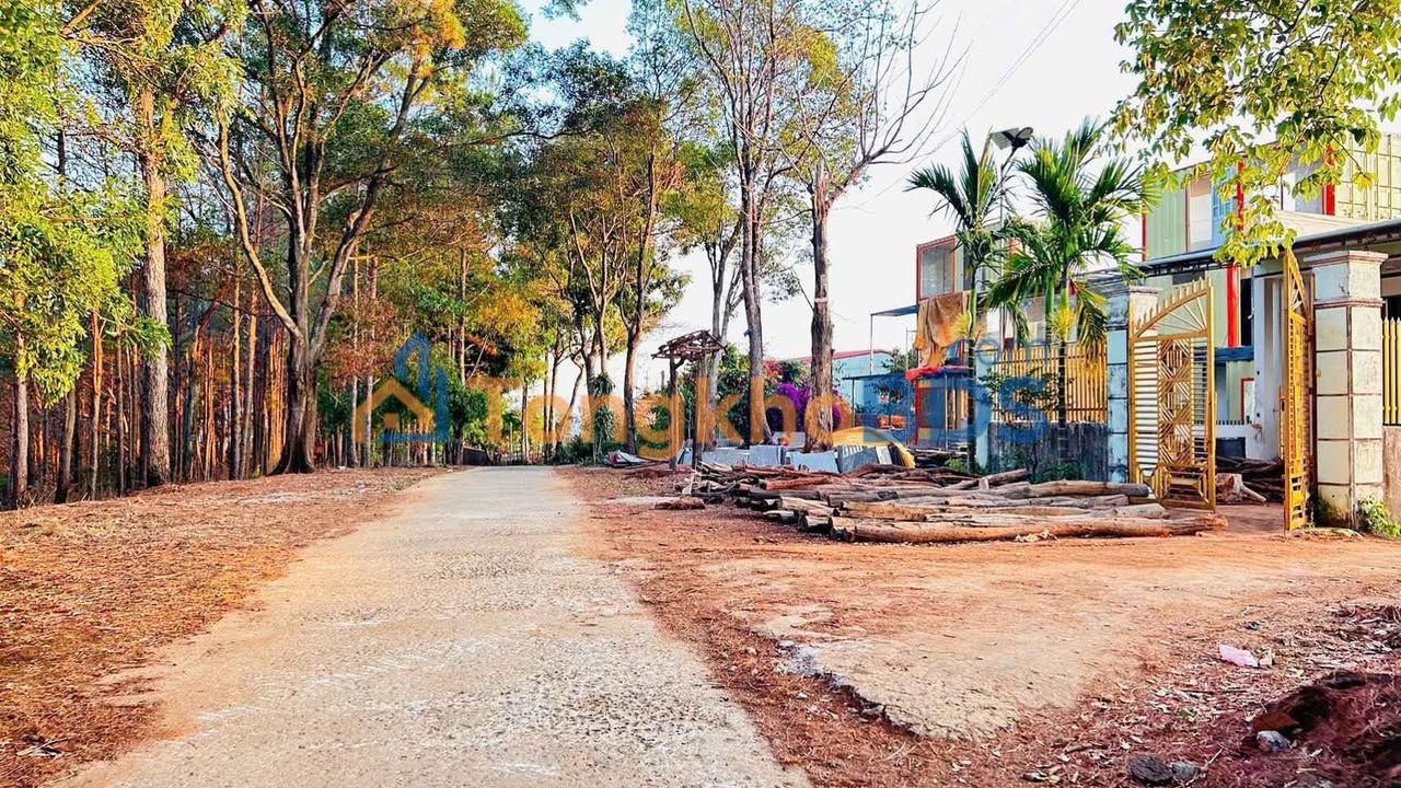 Đất Nền 1080m² Mặt Tiền Hẻm Kí Con, Phù Mỹ - Sẵn Sổ Hồng