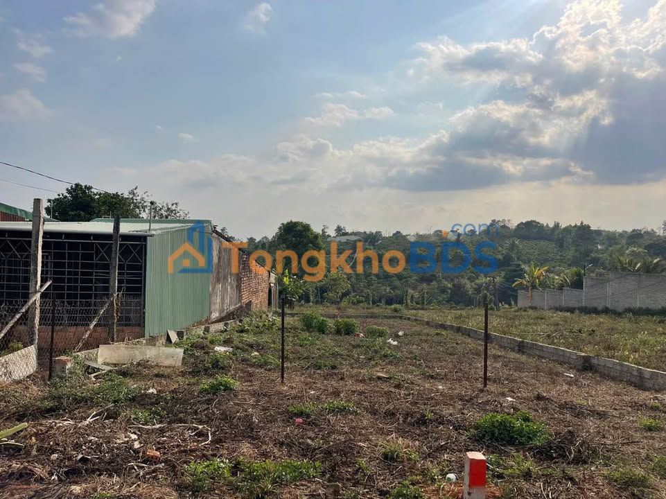 Đất Mặt Tiền Nguyễn Siêu, Pleiku - 175m² - Sổ Đỏ Thổ Cư - Giá Đầu Tư 1.28 Tỷ