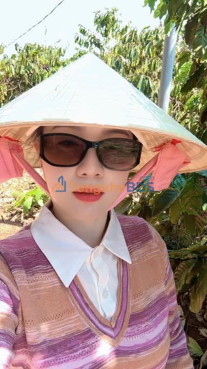 Farm cà phê, sầu riêng 4.6ha Ia Pia, Chư Prông - Sổ đỏ, giá 11.5 tỷ