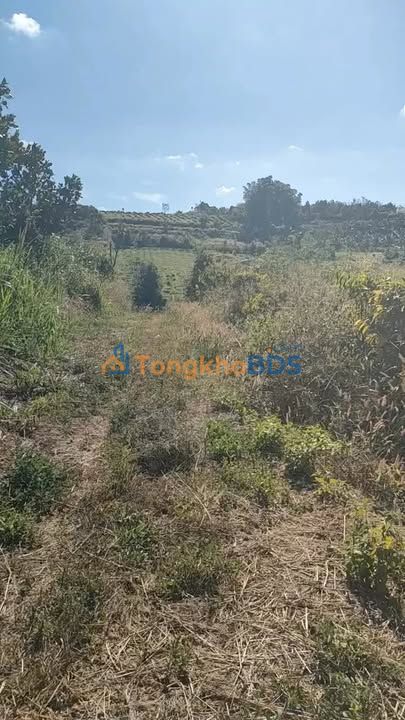 Bán Gấp 21600m² Đất Vườn Xã Hà Mòn, Đắk Hà - Giá Đầu Tư 6xx Triệu