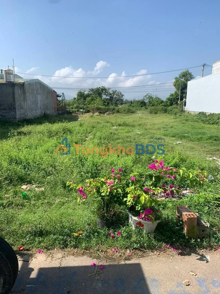 Đất Nền 100m² Mặt Tiền Tôn Thất Tùng Cũ, Quy Nhơn - Giá Tốt