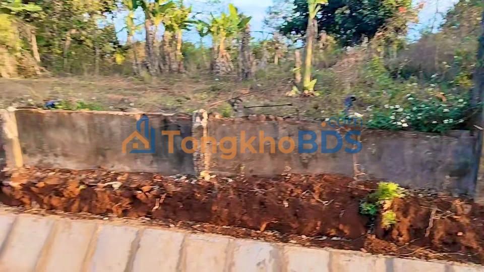 Bán Lỗ Đất Cưôr Đăng 175m² Sổ Hồng Chính Chủ - Giá Đầu Tư 365 Triệu