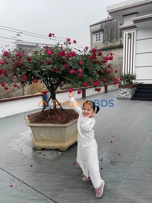 Cho thuê nhà 100m² Thường Tín - Sân Vườn Rộng, Oto Tới Tận Cửa