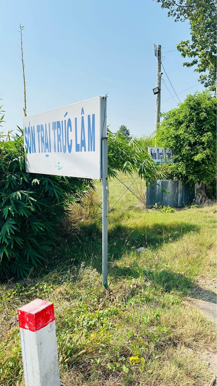 Đất Vườn 504m² Tây Ninh - Nở Hậu Đẹp, Giá Chỉ 375 Triệu