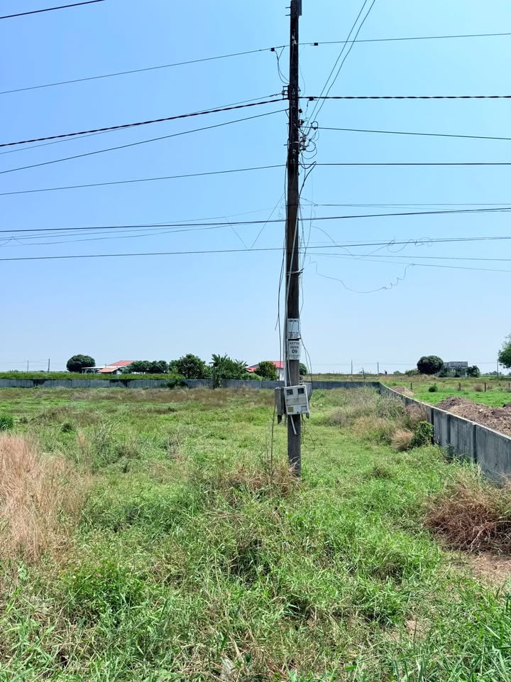 Đất Nền Mặt Tiền Nhựa Thạnh Lợi, Tây Ninh - 2000m² Giá 2.1 Tỷ