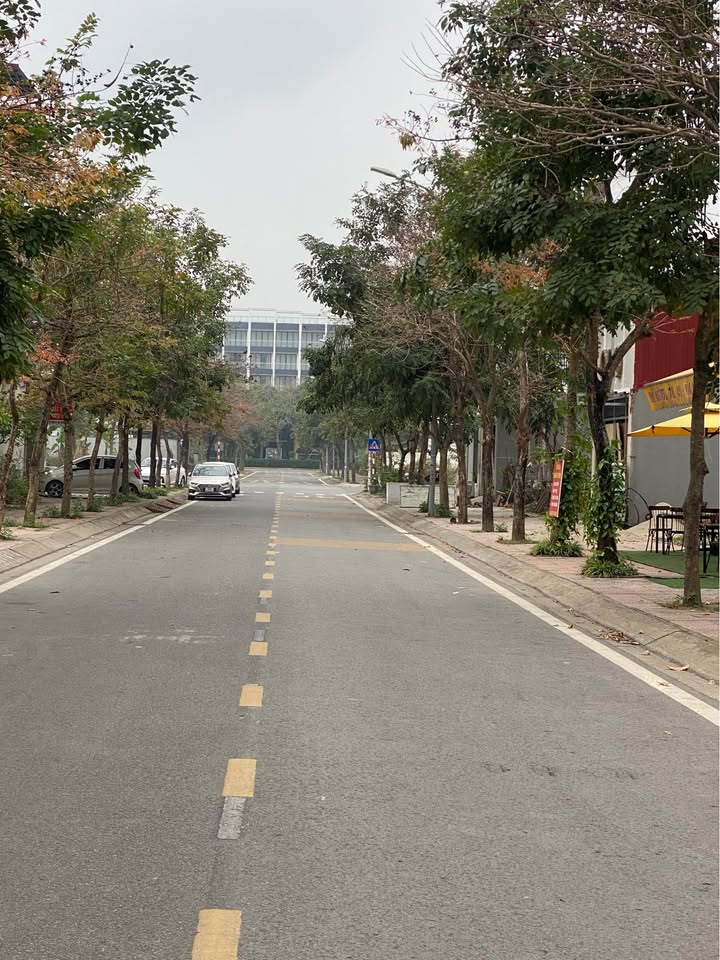 Đất Nền Sông Lô 100m² - Hướng Đông Nam, Giá Đầu Tư 4.1 Tỷ