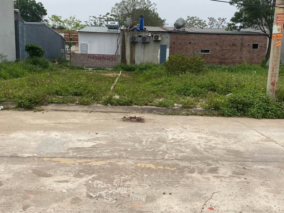 Đất 2 Mặt Tiền Tam Đảo 142m² - Kinh Doanh/Đầu Tư Hấp Dẫn