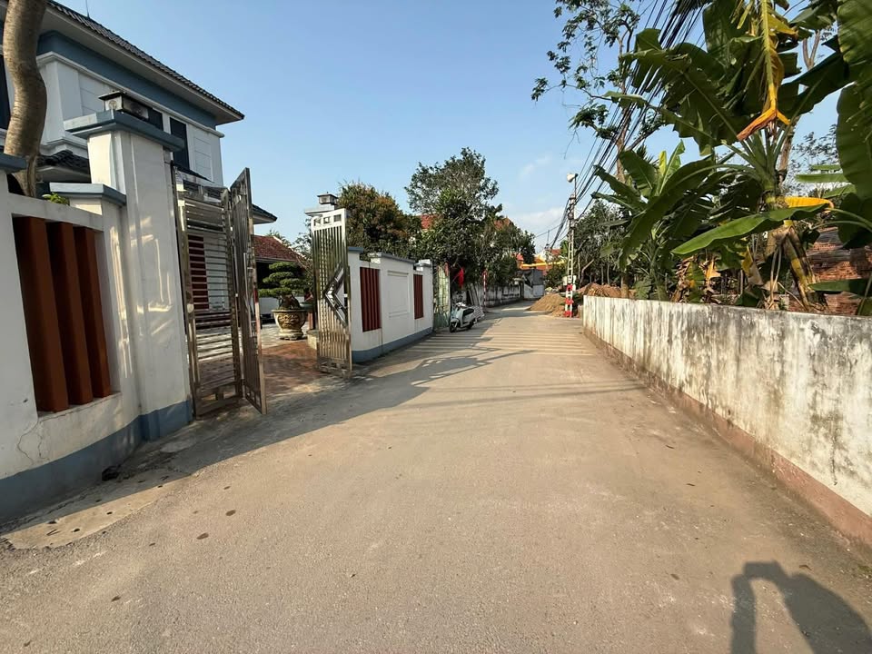 Đất thổ cư Cẩm Giàng 99m² - Mặt tiền 9m, đường thông thoáng, giá 1.9 tỷ