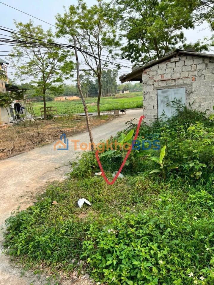 Đất Làng Mẫu, Tam Quan 120m² - 2 Mặt Tiền Thoáng Đãng, Giá Đầu Tư Chỉ 6xx Triệu