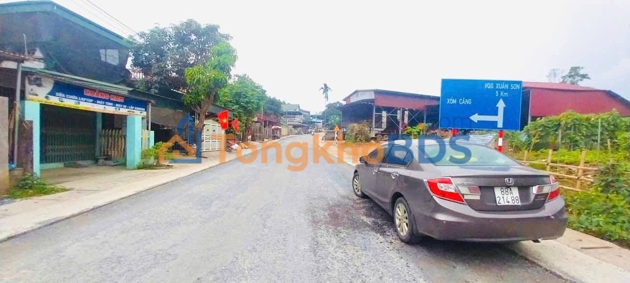 Đất Đấu Giá Mặt Tiền Tỉnh Lộ - Kinh Doanh Sầm Uất Tân Sơn, Phú Thọ