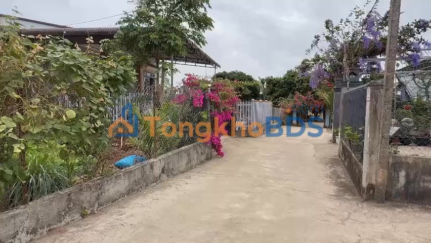 Đất nền Ea Kao 460m² 470 triệu - Đất thổ cư 100%