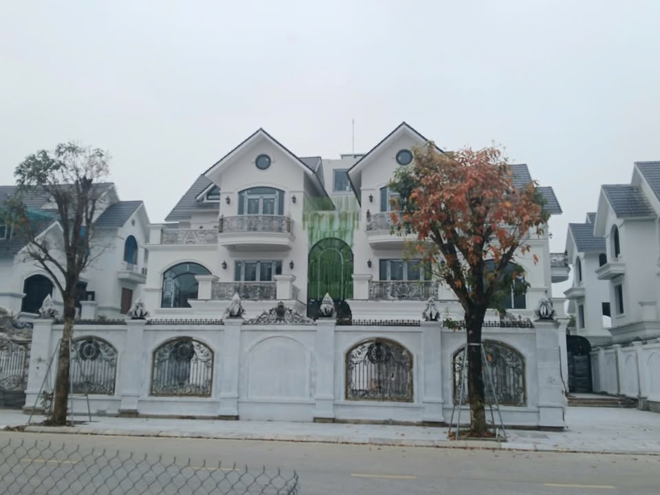 Biệt thự 375m² Khu D Geleximco - Sổ đỏ sang tên, giá đầu tư 50 tỷ