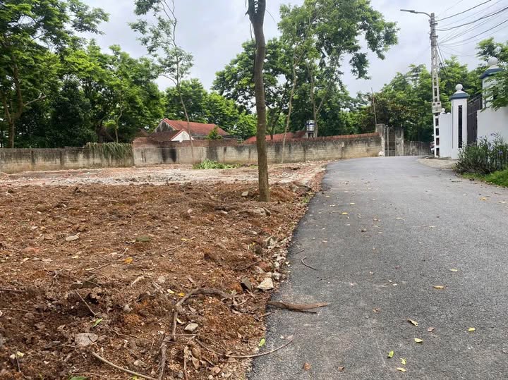 Bán Đất 100m² Mặt Tiền 6m Đường Nhựa Ô Tô - Xã Đồng Tĩnh, Tam Dương, Vĩnh Phúc