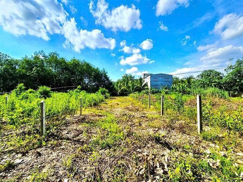 Bán Đất Nở Hậu 248m² Đường Nhựa Định Thành 1, Dầu Tiếng - 8xx Triệu