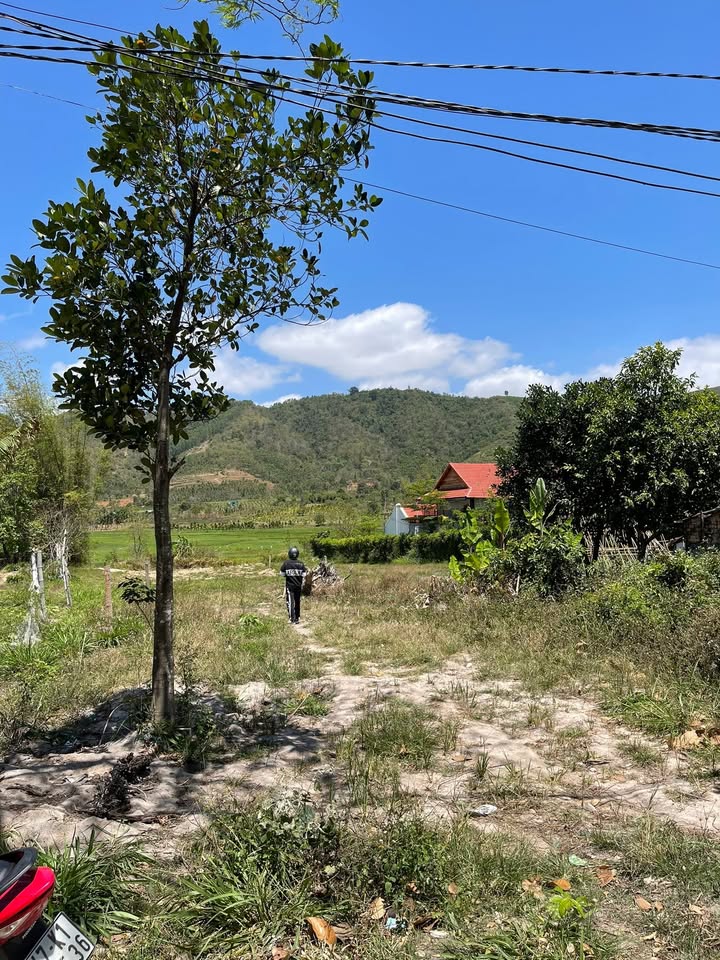 Đất Đắk Lắk 678m² - Thổ cư 100m² - View Đồng Ruộng 550 Triệu