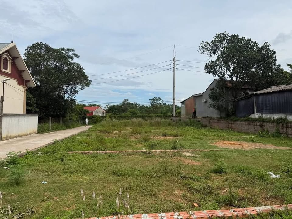 Đất 100m² Full Thổ Cư Mặt Tiền 6m - Đông Phượng, Đan Phượng - Chỉ 8xx Triệu