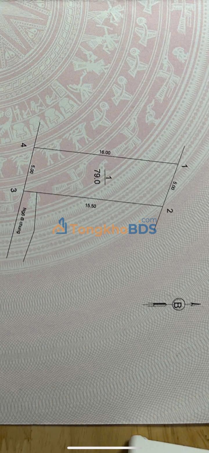 Đất Kiêu Kỵ Gia Lâm 79m² - 3.4 Tỷ, Sổ Đỏ Sẵn Sàng