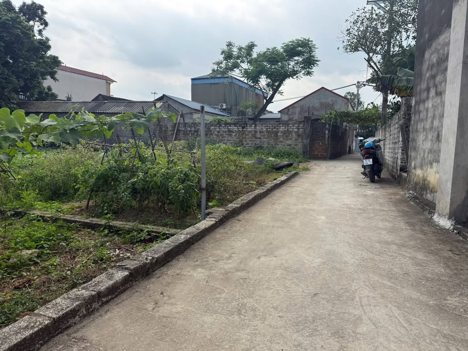 Bán Đất Mỹ Đức 66.7m² - Ngõ Thông Ô Tô Tránh, Gần Tỉnh Lộ 429