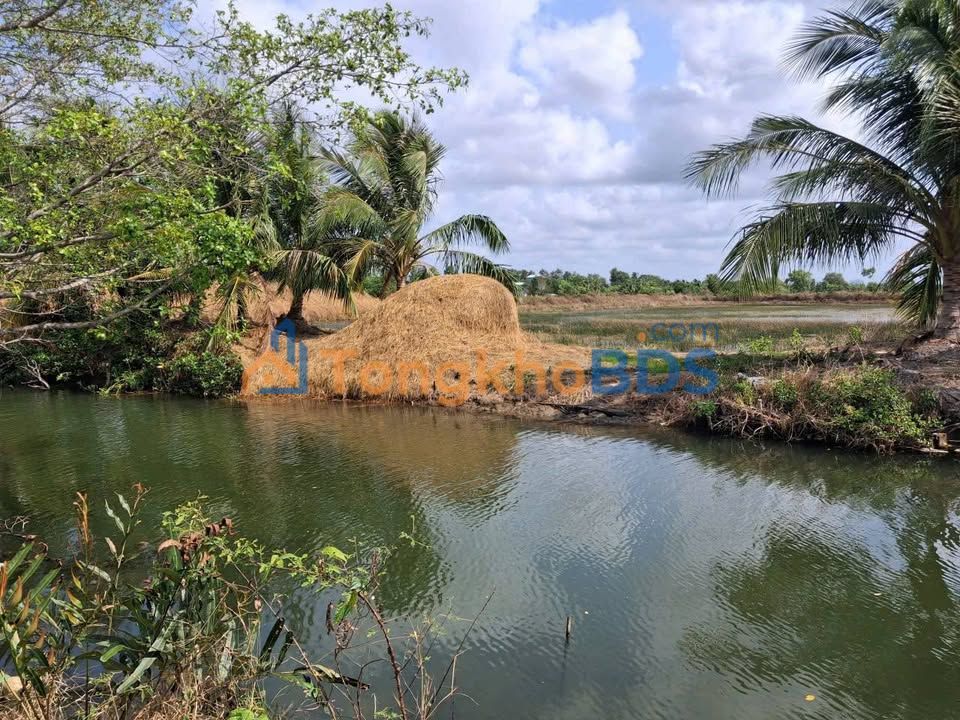 Bán đất mặt kênh 7000m² Phường Lý Văn Lâm, Cà Mau - Thích hợp nuôi trồng thủy sản
