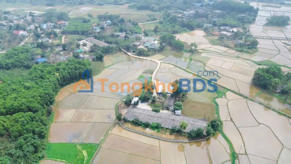 Bán trang trại gà 4232m² Định Hóa, Thái Nguyên - Sẵn sàng kinh doanh