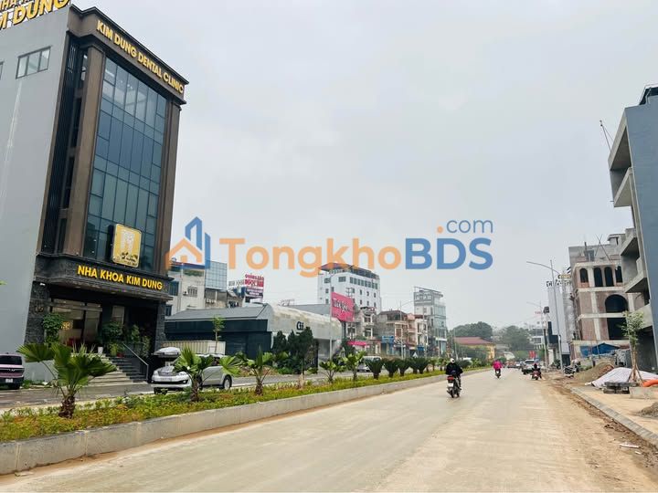 Nhà Mặt Tiền Kinh Doanh Đường Bắc Sơn, Thái Nguyên - 206m², Ngay Ngã Tư