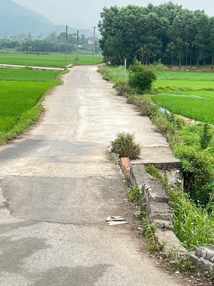 Đất Vàng TP Sông Công - Mặt Tiền Rộng 8m, Giá Chỉ 2.1 Triệu/m²