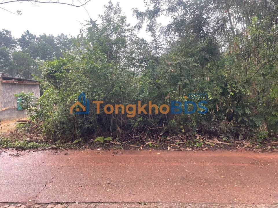 Đất Vườn 600m² TP Thái Nguyên - 3.x Tỷ, 3 Mặt Thoáng, Sẵn Sàng Đầu Tư