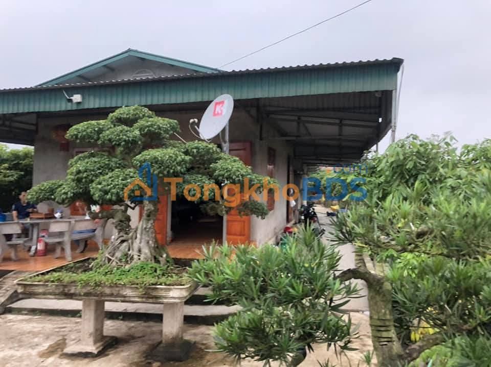 Bán Gấp Vườn Xanh Mát 6000m² Huyện Ninh Giang - Sẵn Sàng Cho Người Yêu Thiên Nhiên