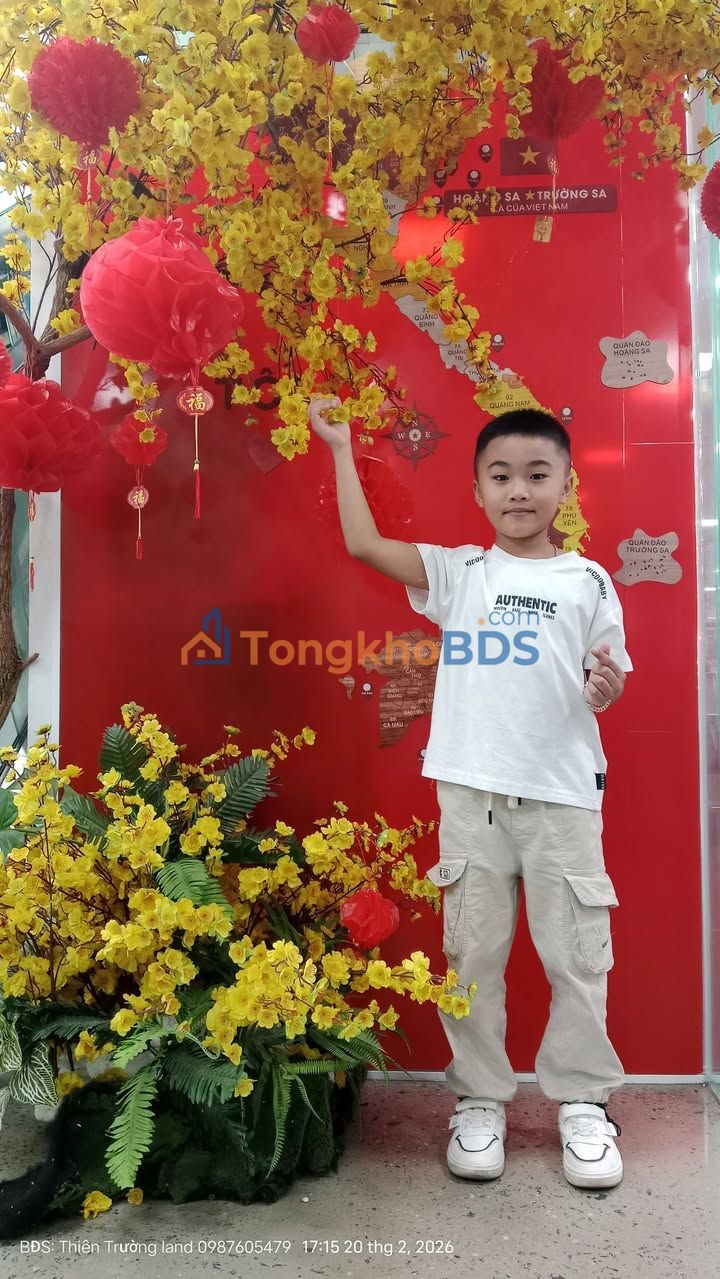 Mặt Tiền KD DT741C Xuyên Mộc - 4160m² Tặng Nhà C4 - Giá Tốt