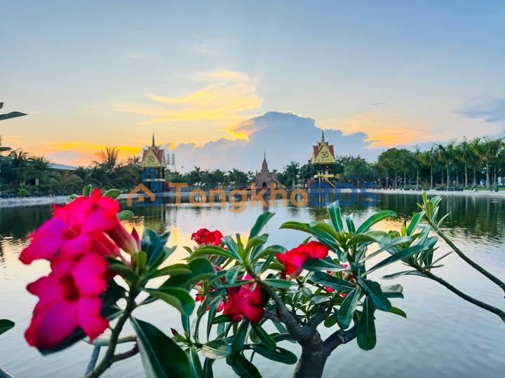 Đất Nền Tái Định Cư Phú Xá 80m² - Giá 1.x Tỷ, Ngay Sau Trường Học